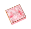 Коробка упаковки подарка закрытия Папербоард розовая магнитная для дизайна раковины упаковки одежды